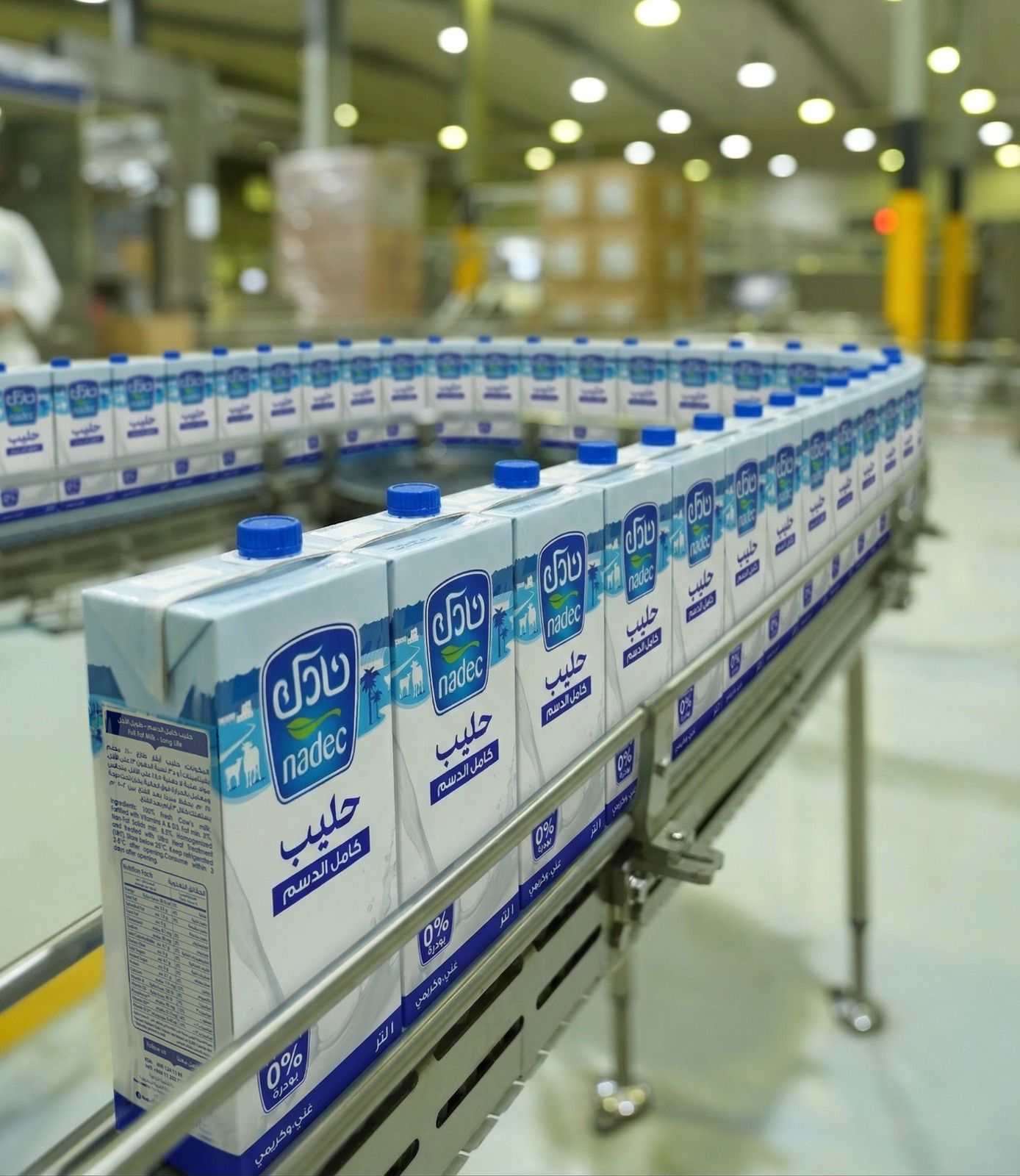 الألبان والحليب والأجبان